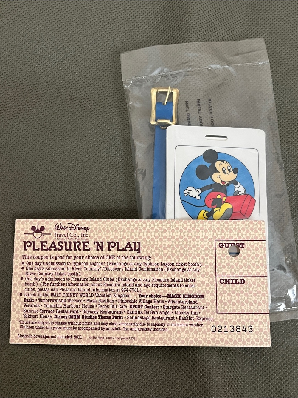 Disney Travel Company lot